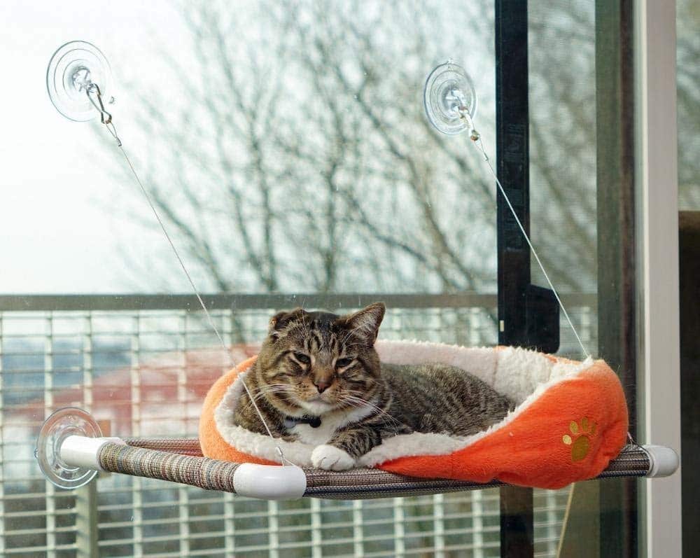 cat-window-perch-kitty-cot