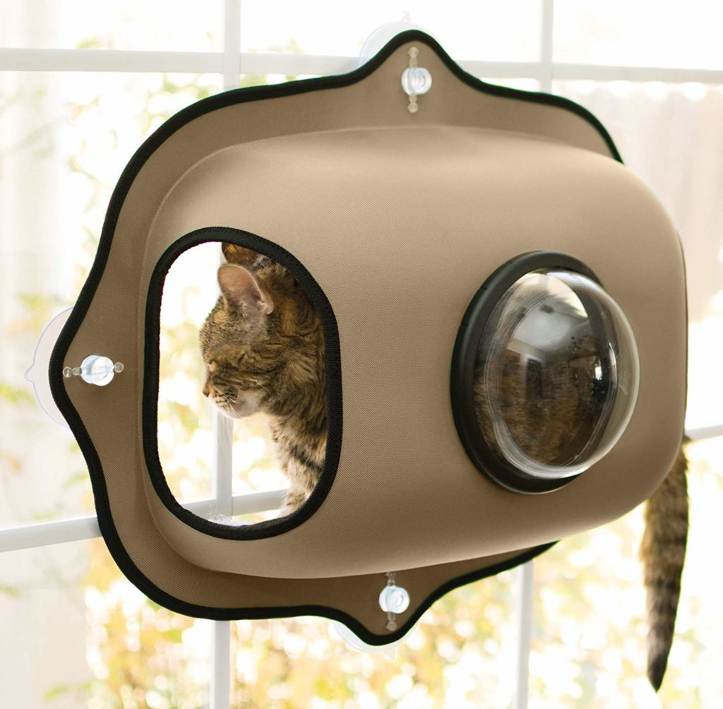 cat-window-perch-pod