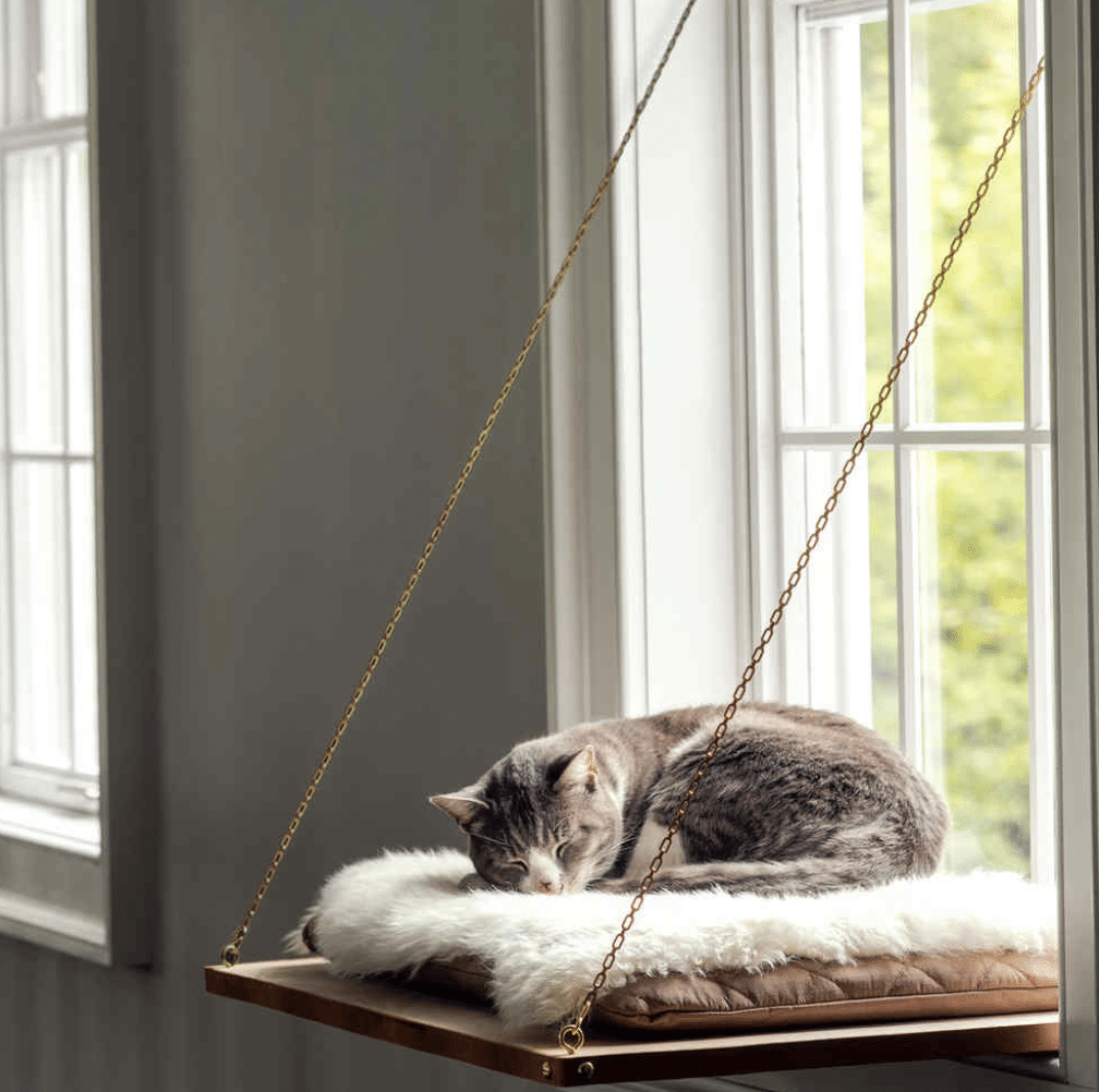 best-cat-perches-DIY