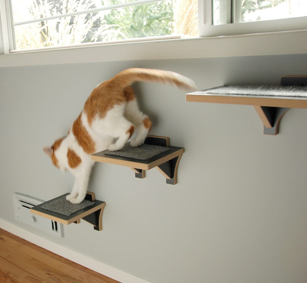 best-cat-perches-modern