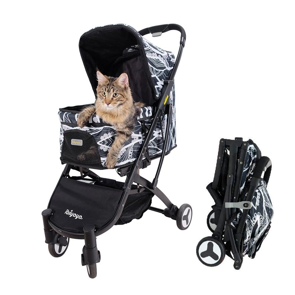 cat-stroller-kitten
